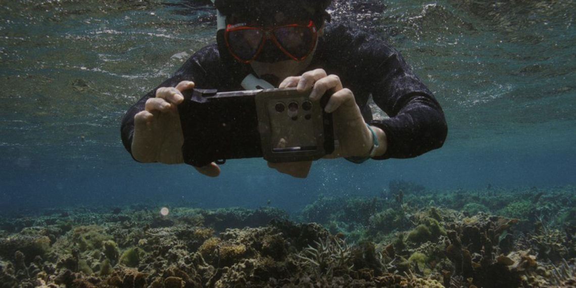 Samsung’s Ocean Mode Powers Coral Reef Restoration with Galaxy S24