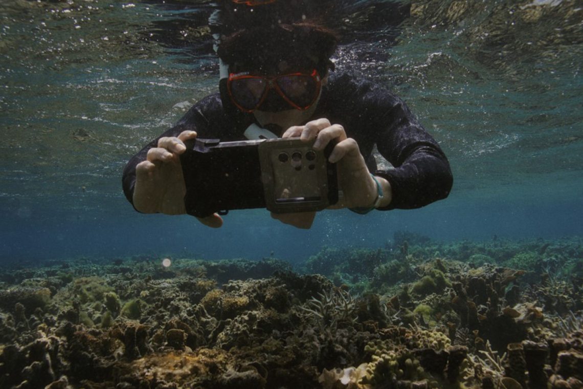 Samsung’s Ocean Mode Powers Coral Reef Restoration with Galaxy S24