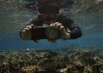 Samsung’s Ocean Mode Powers Coral Reef Restoration with Galaxy S24