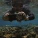 Samsung’s Ocean Mode Powers Coral Reef Restoration with Galaxy S24